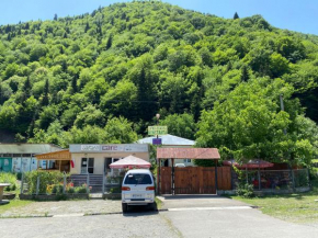 Отель Guest house Konstanta  Лентехи